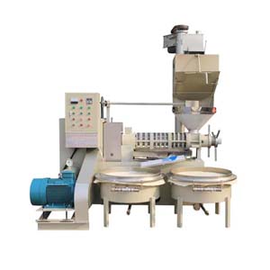 BBM-6YL-135 Commercial Oil Press Machine