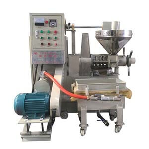 6YL-75 Commercial Oil Press Machine